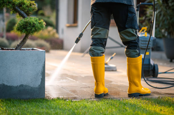 Best Power Washing Near Me  in Farmington, MO